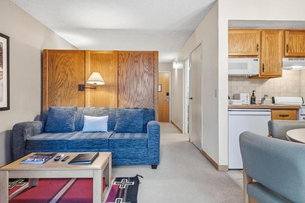 Lift House Lodge, Pet Friendly Studio Condo